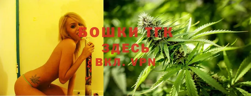 Бошки Шишки OG Kush  гидра онион  Ковров 